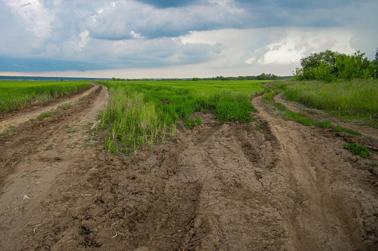 Sunday Gathering: ‘Two Paths, One Journey: Finding Unity in a Buddhist–Unitarian Life’