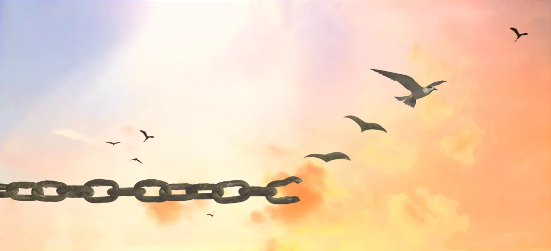 FreedomfromStruggle1.jpg