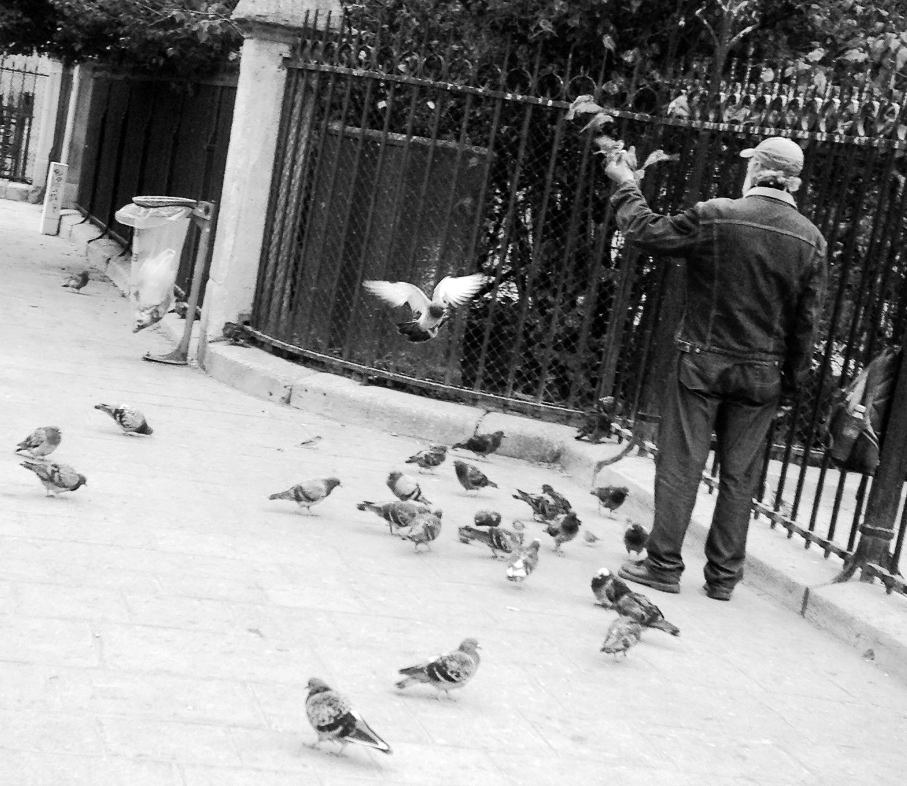 BirdmanND.jpg