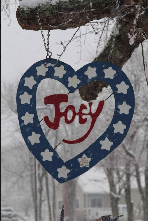 Joey5.png