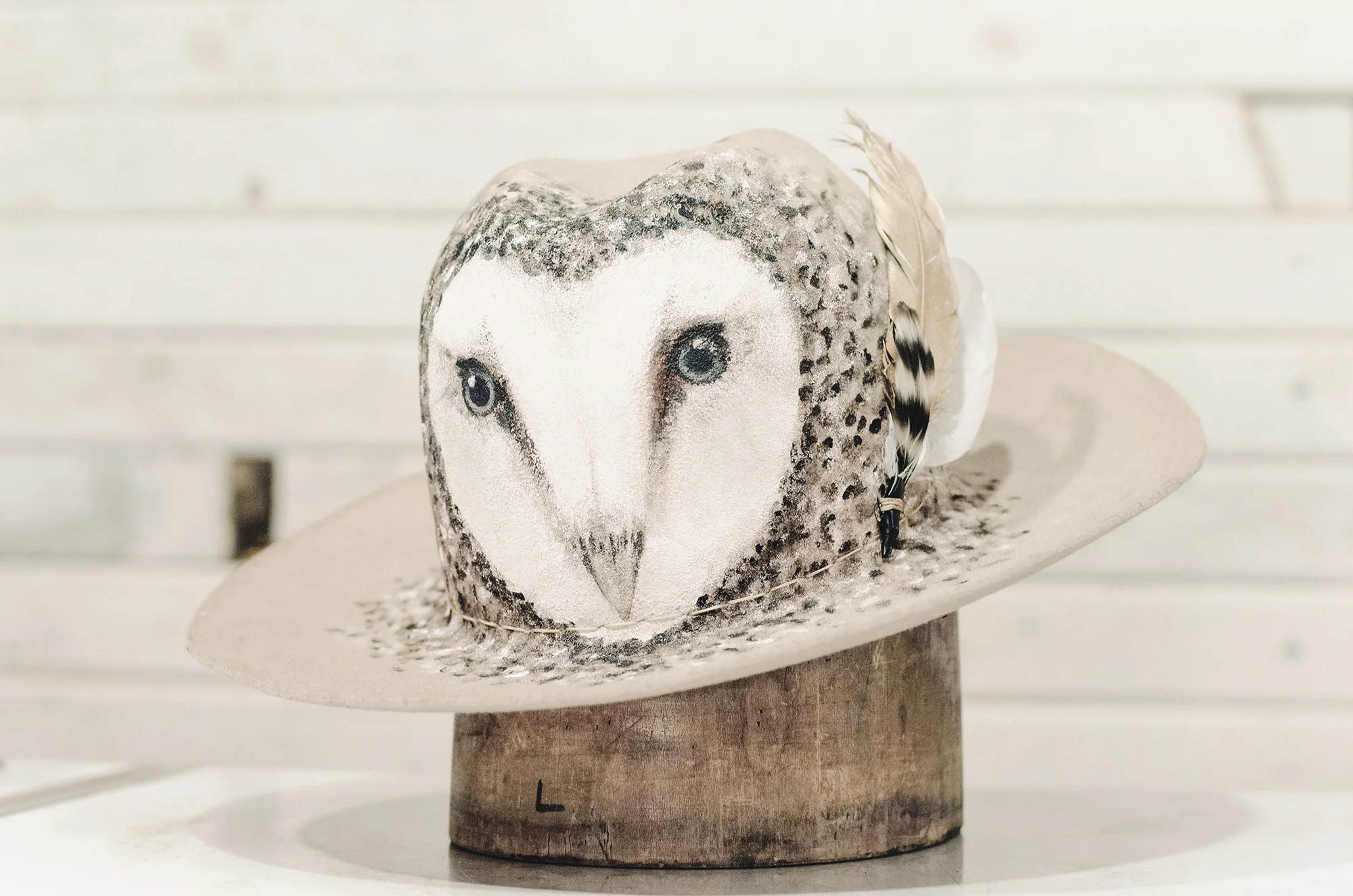 owl1.jpg