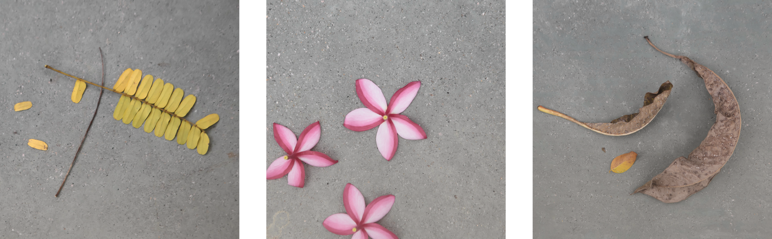 1511-26_Pavement-2.png