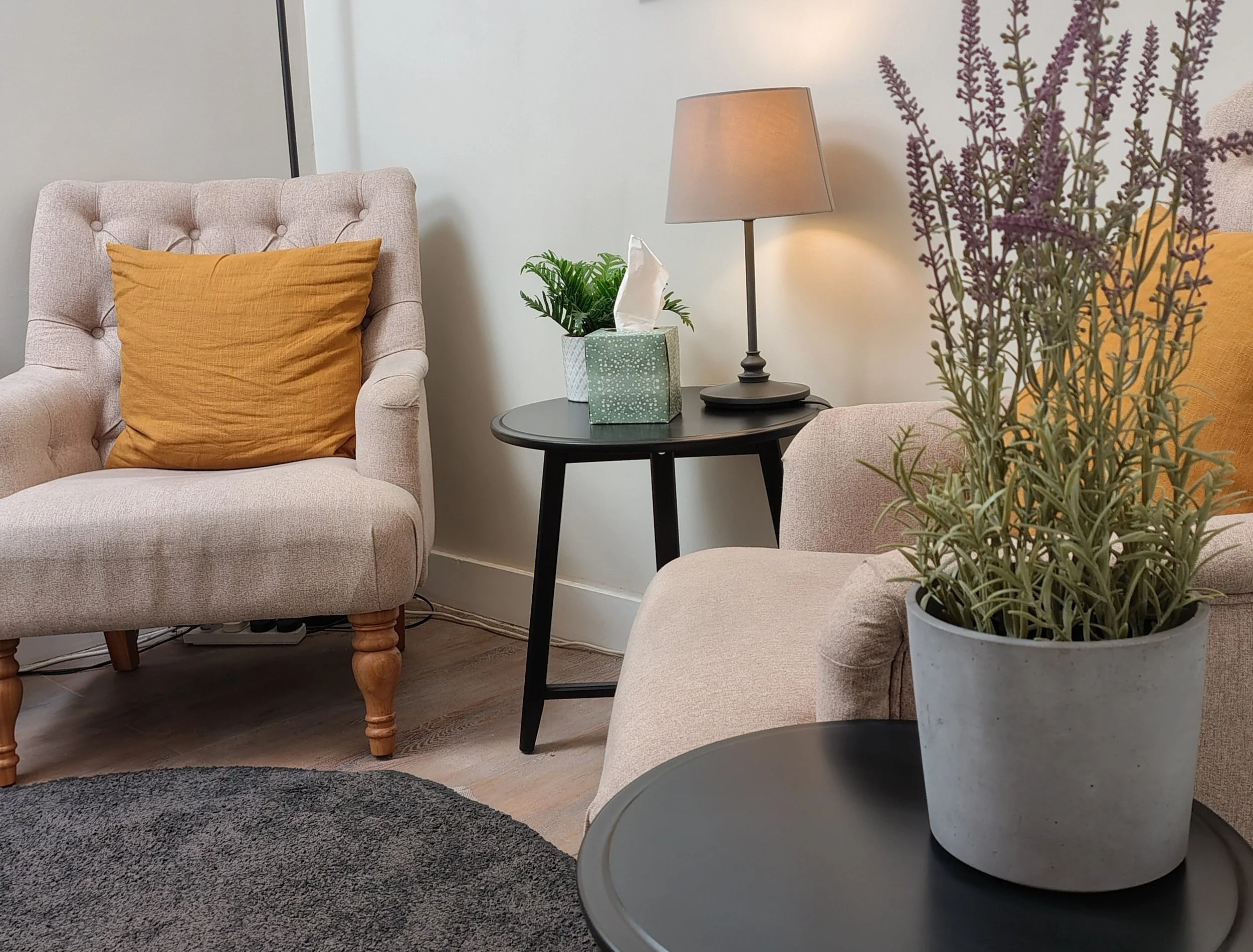 Covent Garden Ivy Suite Banner.jpg