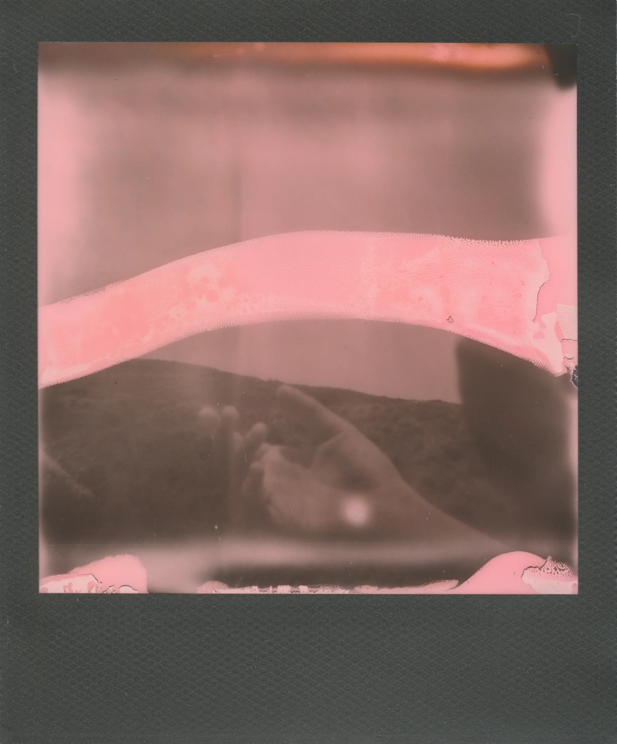 pola-1.jpg