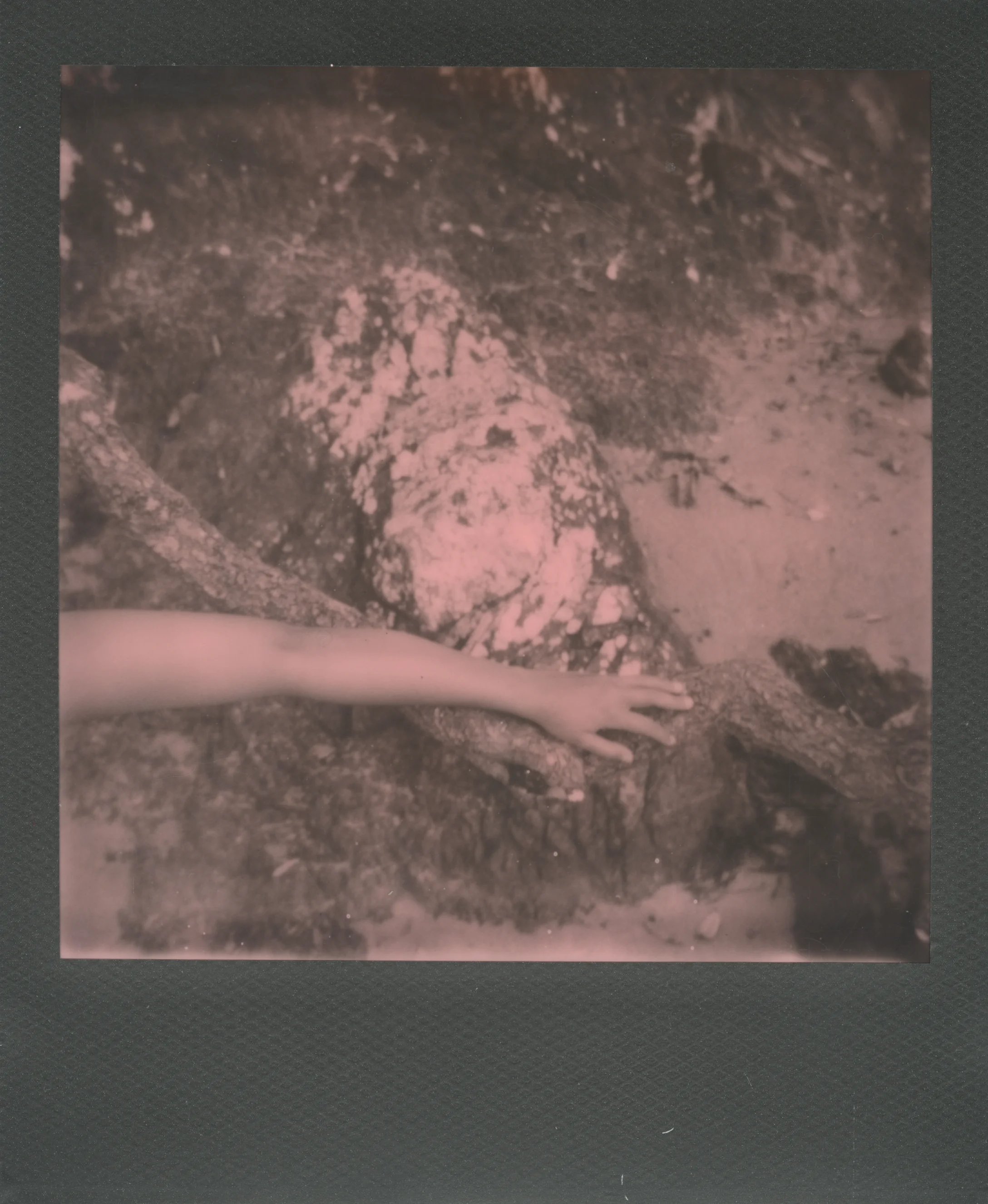pola-5.jpg