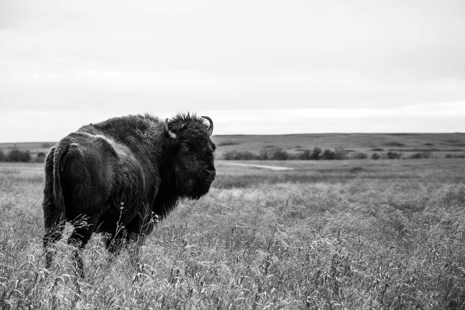 Oklahoma_2015-19 (1).jpg