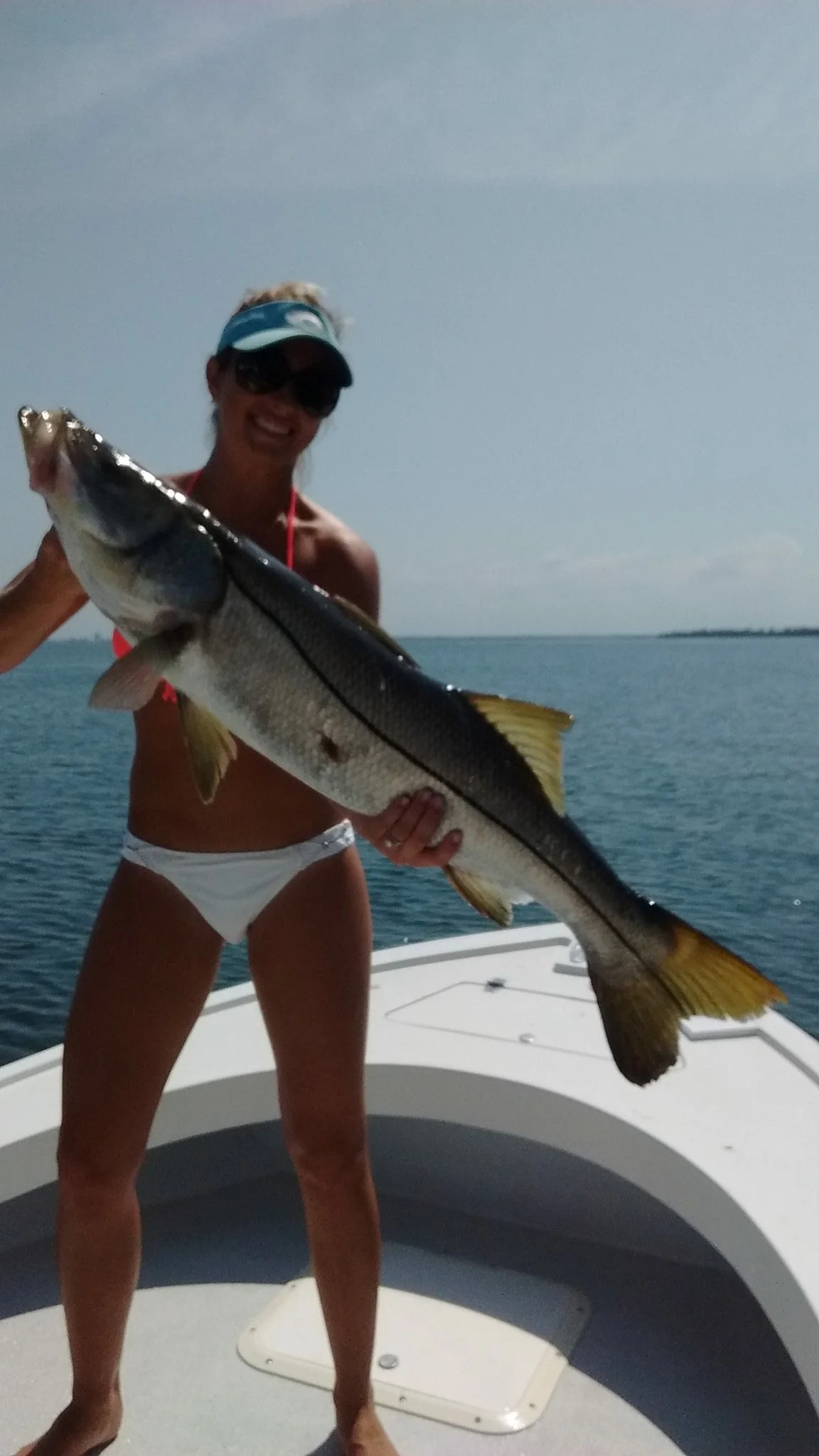 Anna Maria Island Fishing Charters May / June Fishing Report