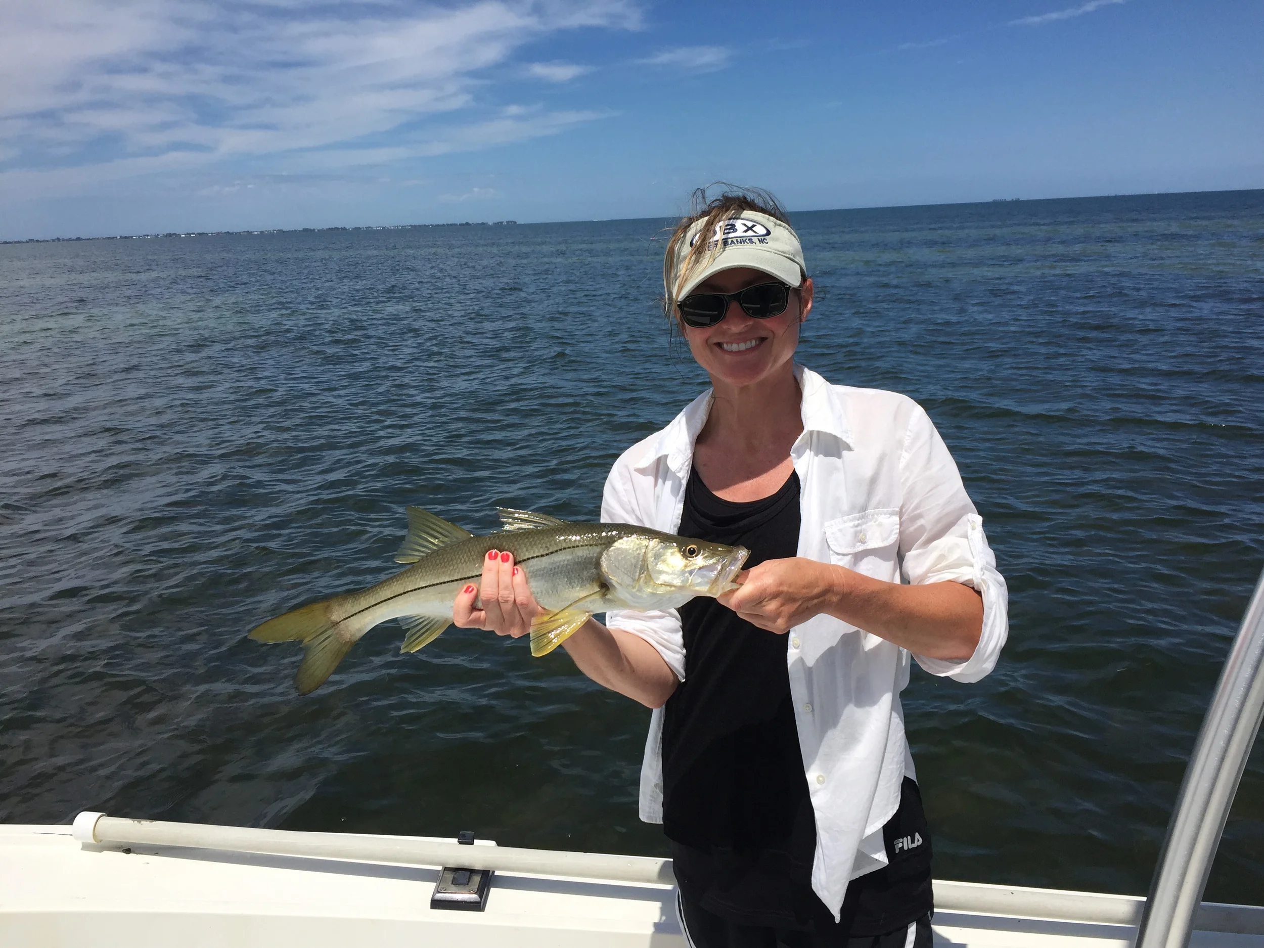 Snook Anna Maria Island