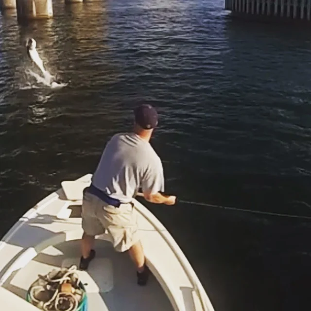 Anna Maria Island Fishing Charters June 8th - 13th 2015 Fishing Report