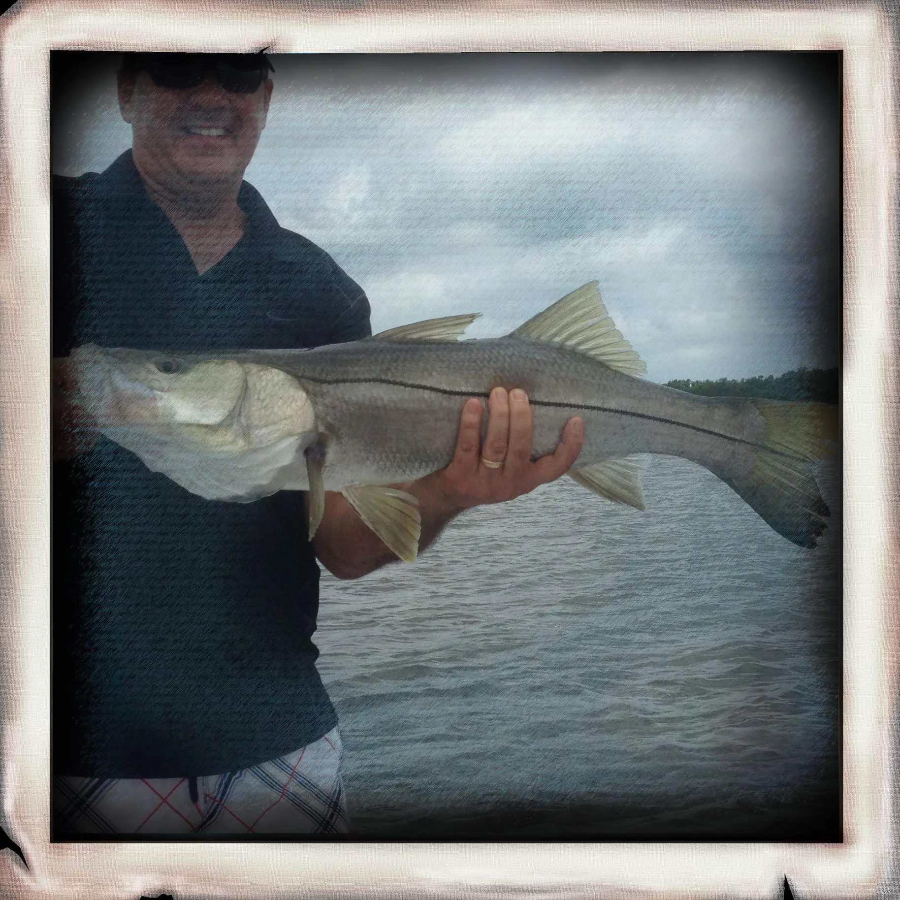 Snook
