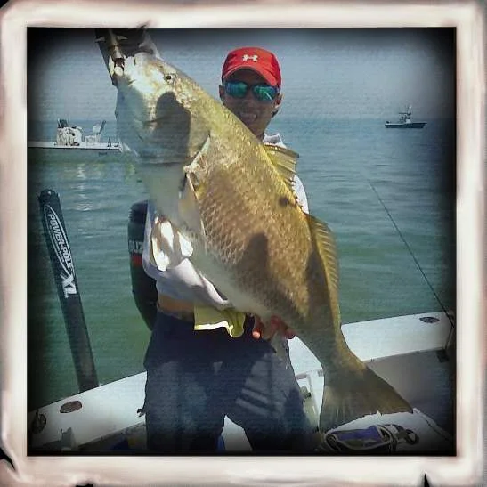 Black Drum