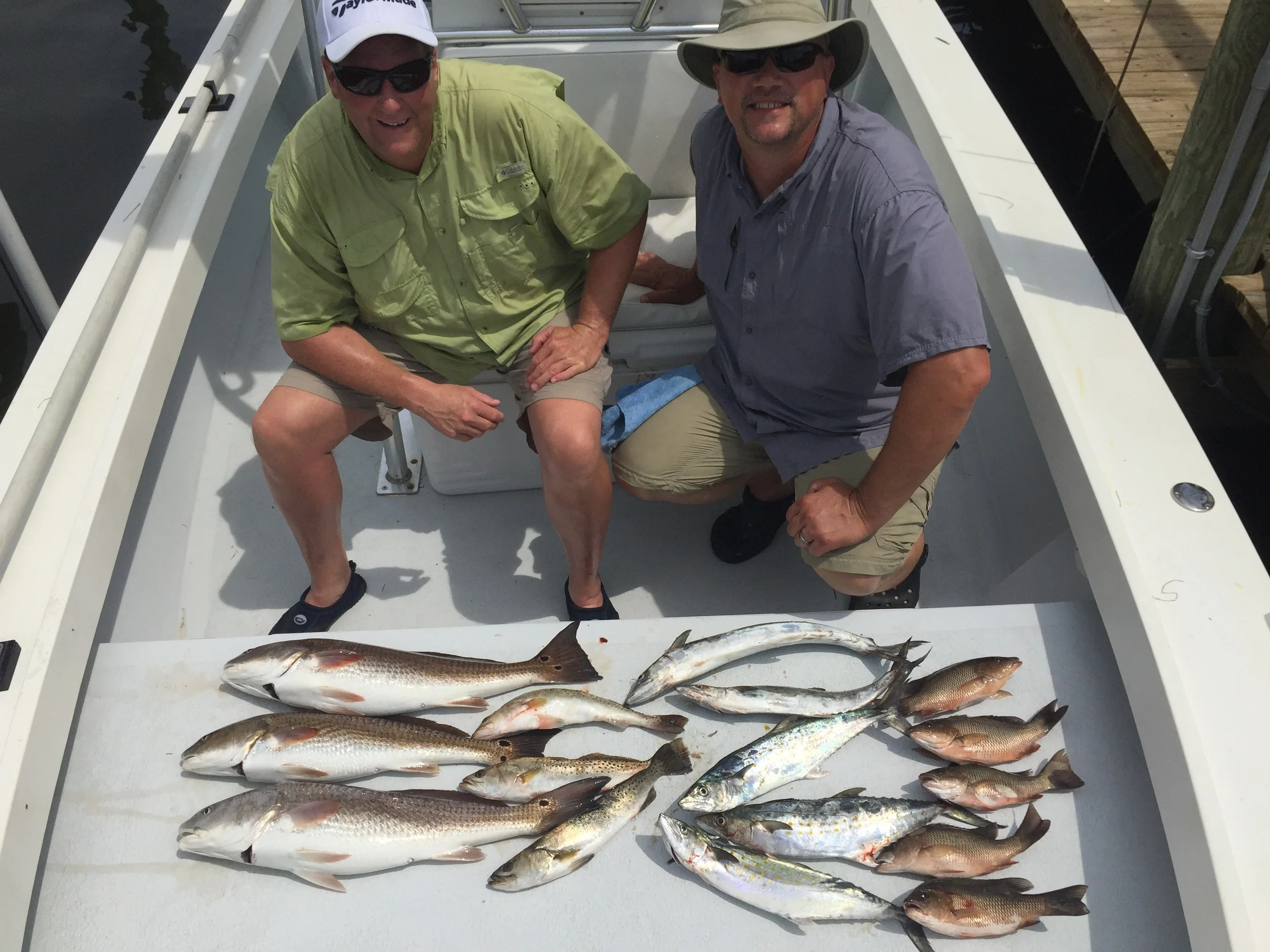 Anna Maria Island Fishing Charters Sept 1 - 13 2015 Report