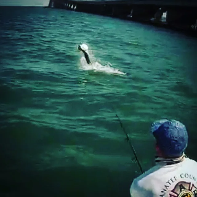 Anna Maria Island Fishing Charters April 25th- 30th Report