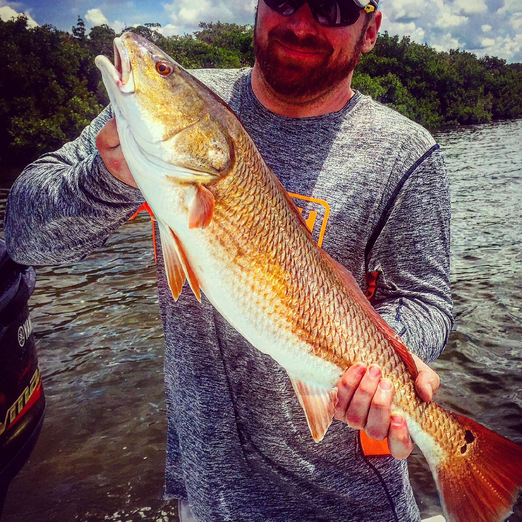 Anna Maria Island Fishing Charters May 9th -15th Report