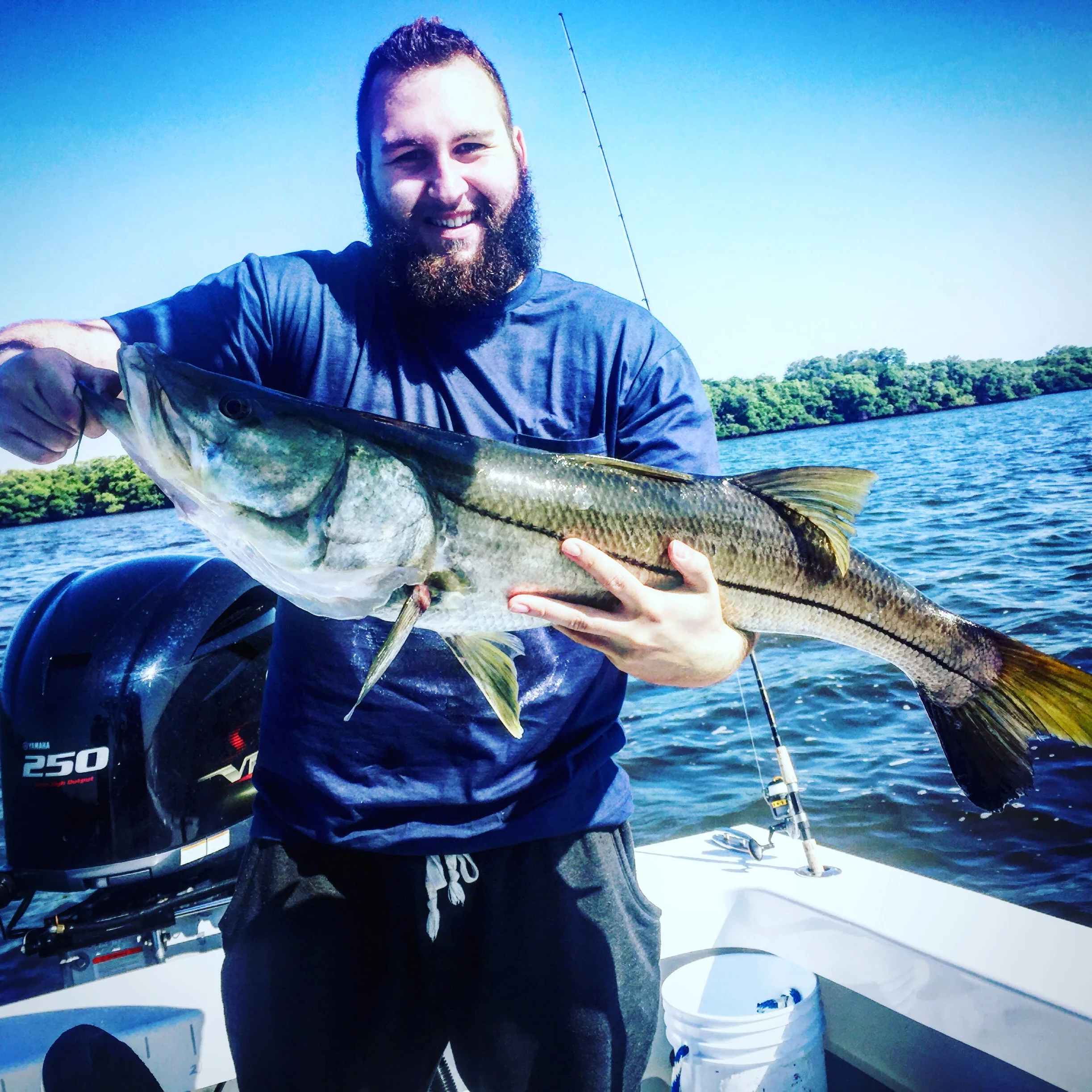 Anna Maria Island Fishing Charters May 16th - June 4th Report