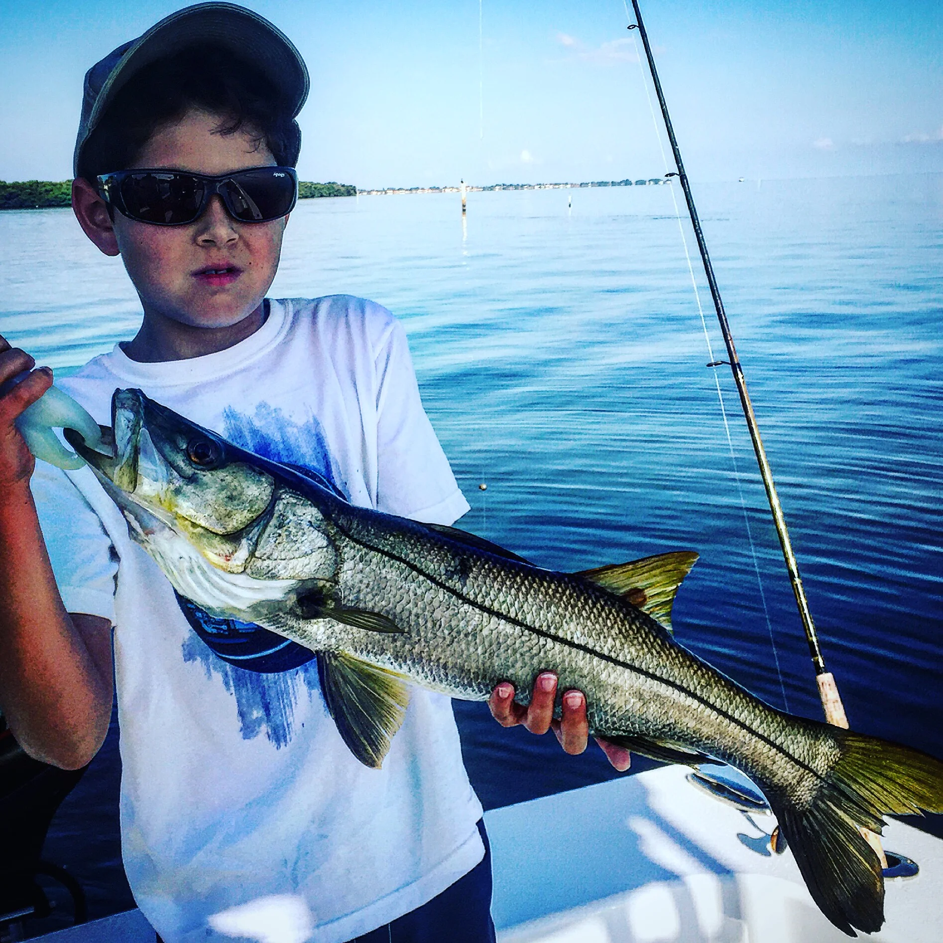 Anna Maria Island Fishing Charters July 4th-16th Report
