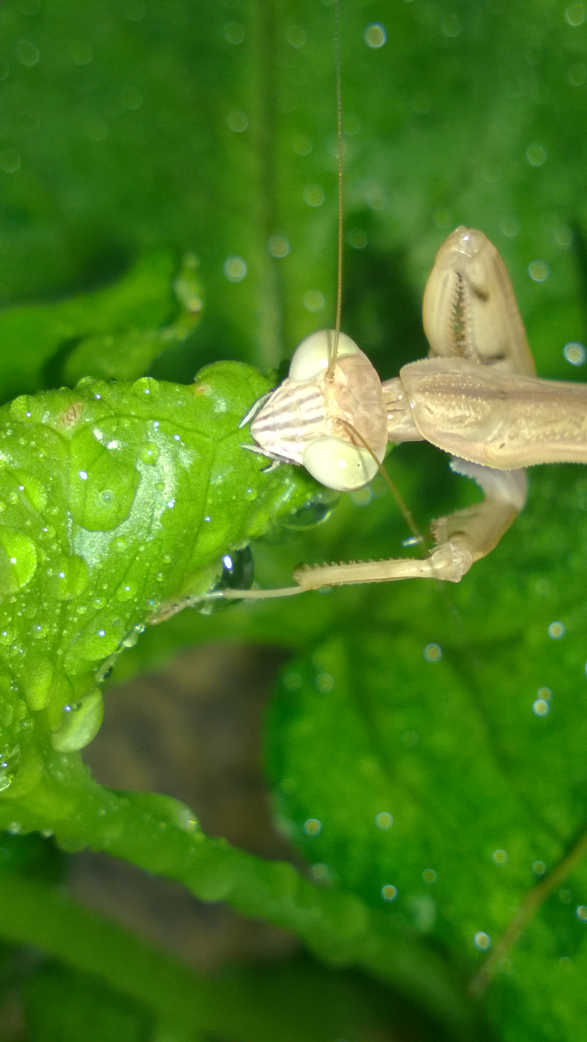 Having a drink