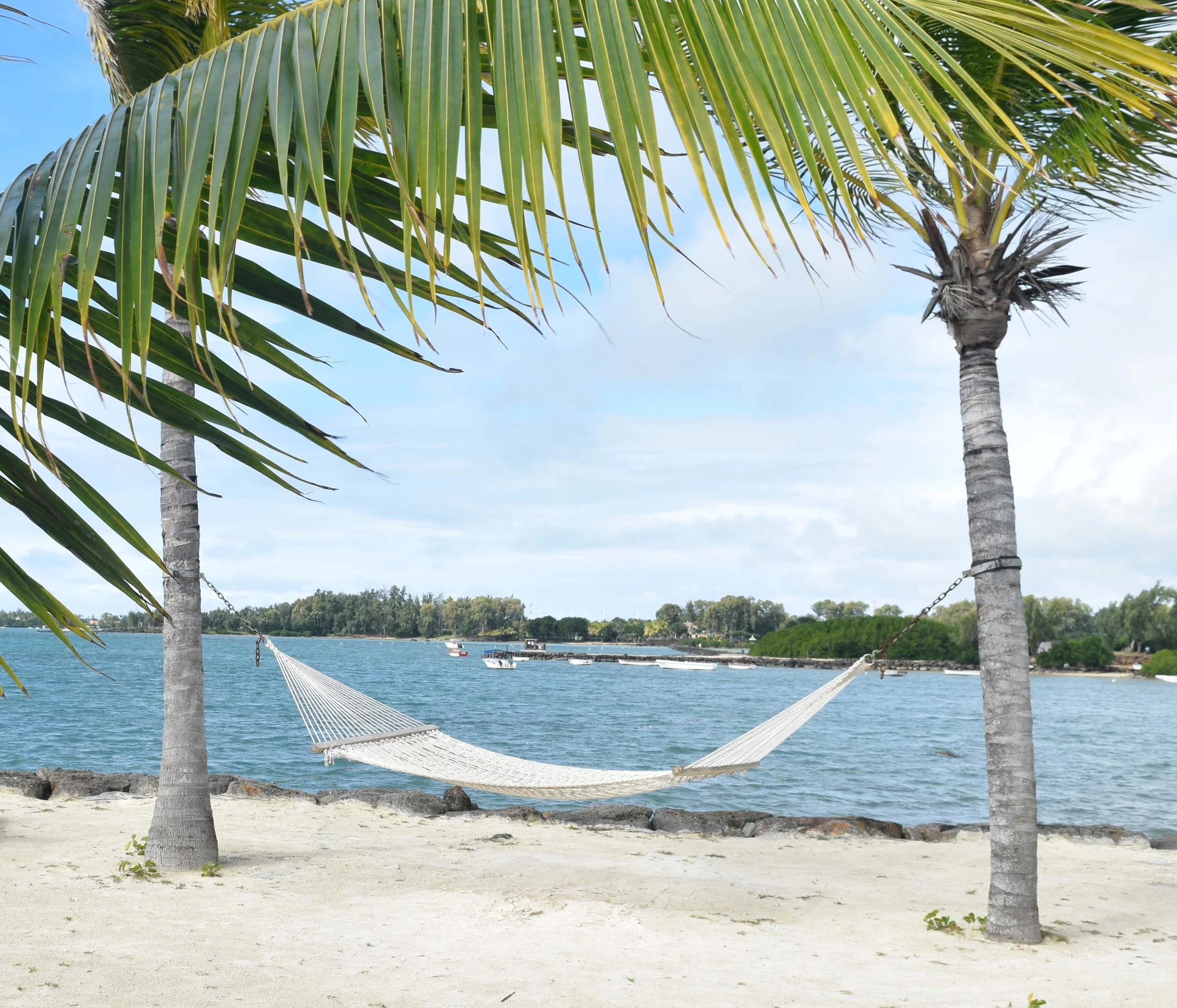 Hammock Banner.jpg