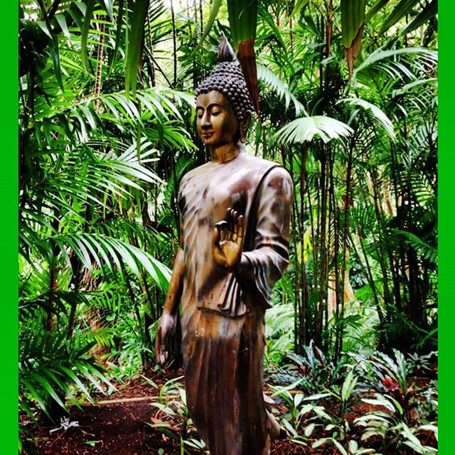 Talk less. Listen more. Feel deeper. Love better. Open your eyes. Experience life. Thank you for sharing this image @jahraerodz. 
___________________________________________________
#buddha #green #sync #tropical #forest #photooftheday #grow #nourish