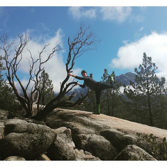 My spirit needed a refresher.  Thank you for the replenishment,  Mother Nature. ------------------------------------------------------------
#refresh #nature #hike #tree #replenish #recharge #play  #photooftheday #instagood #vsco #breathe #green #lus