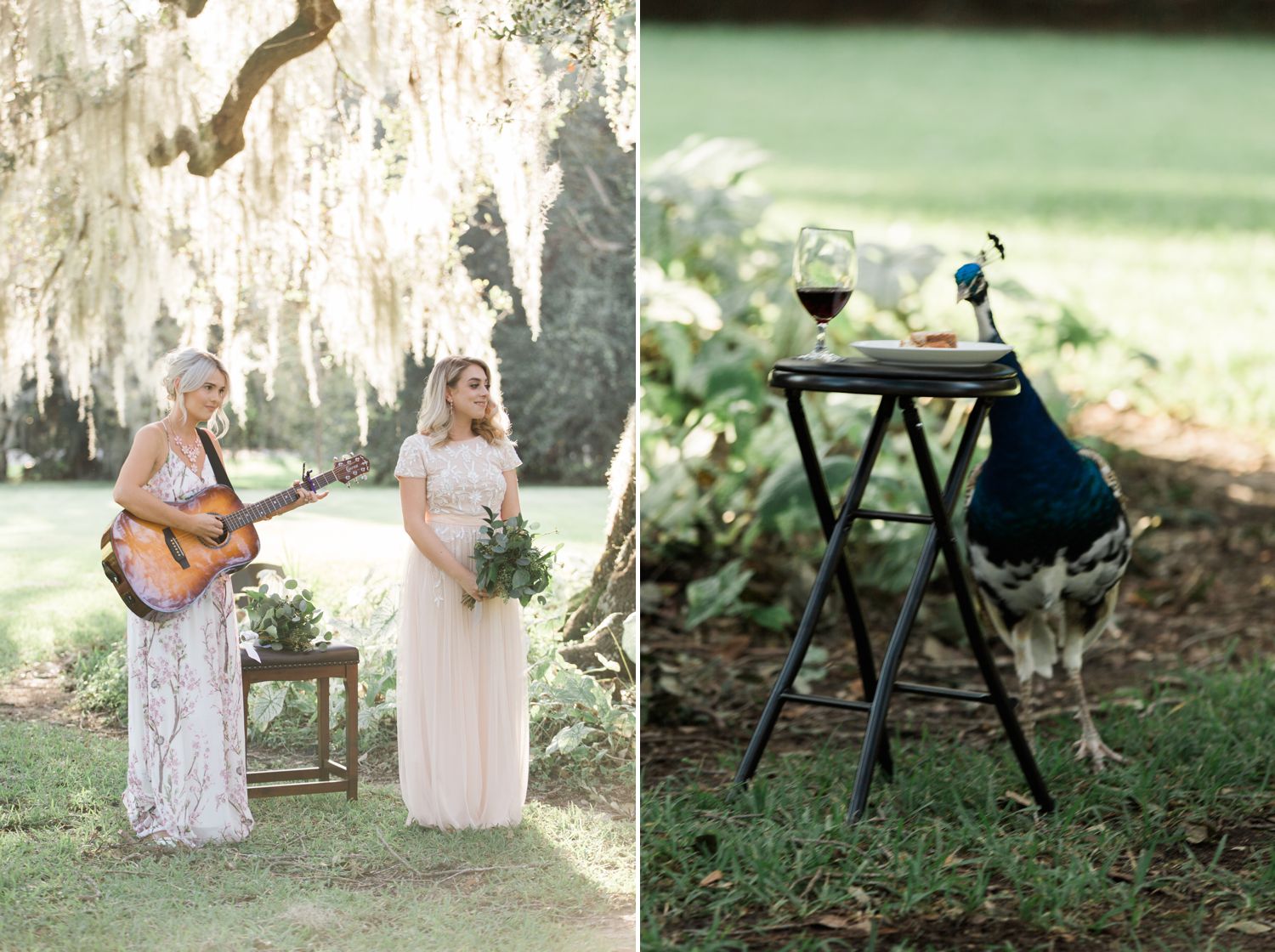 This peacock was pre-ceremony entertainment! It even helped itself to some communion bread.