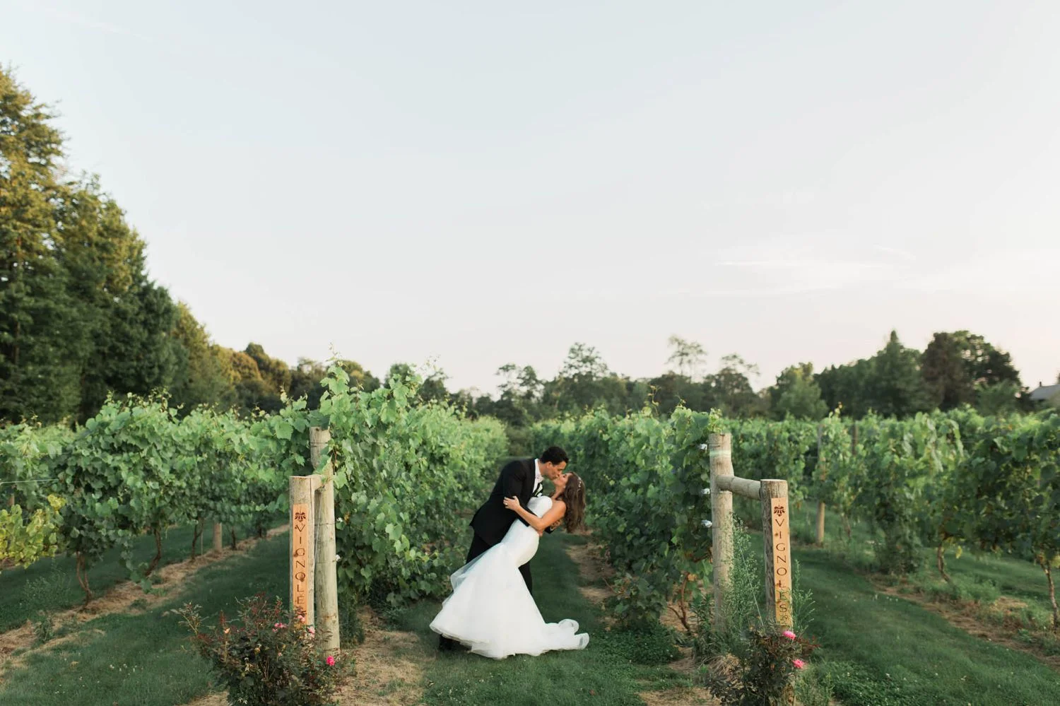 chloe-and-lou-vineyards-at-pinelake-tracylynn-photography-youngstown-ohio 30.jpg