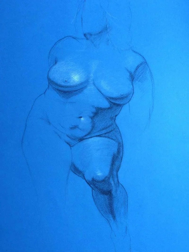 Female Torso on Blue Charcoal on Paper 26 x 20