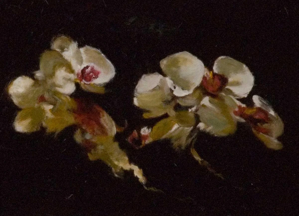 Orchidia after Leffel Oil on Panel 12 x 16