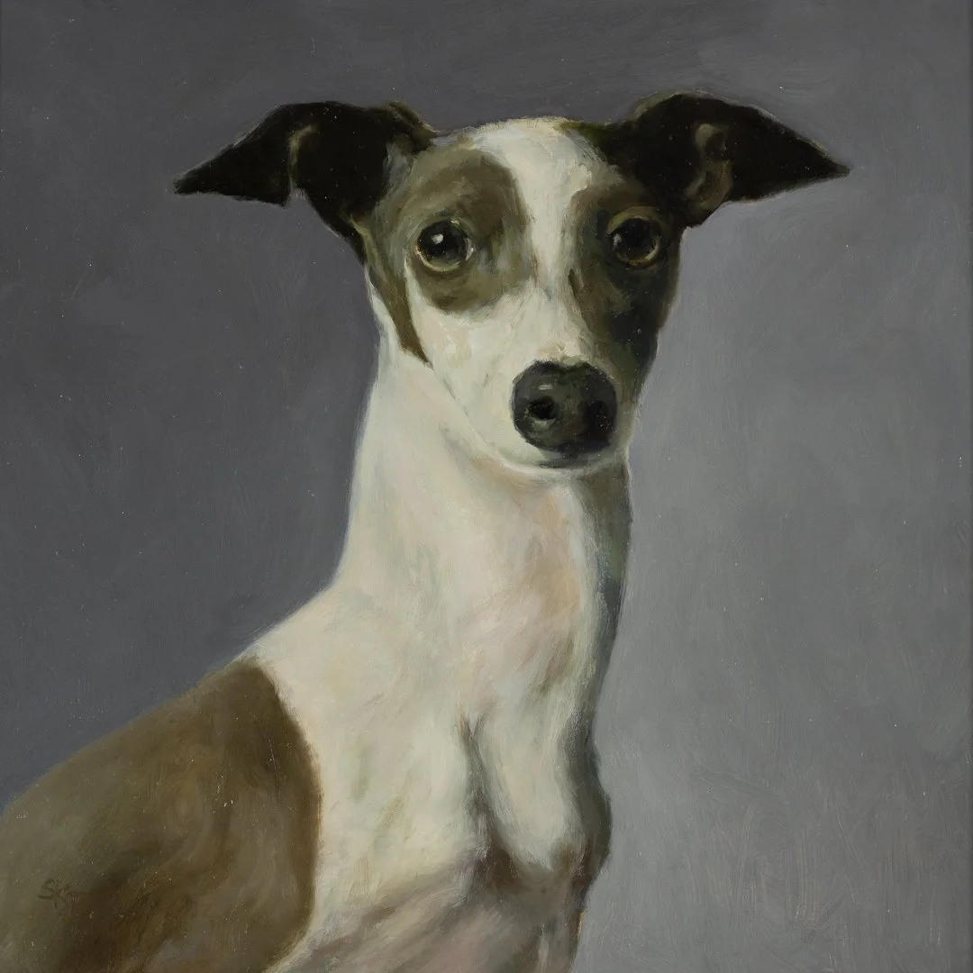 Whippet.jpg