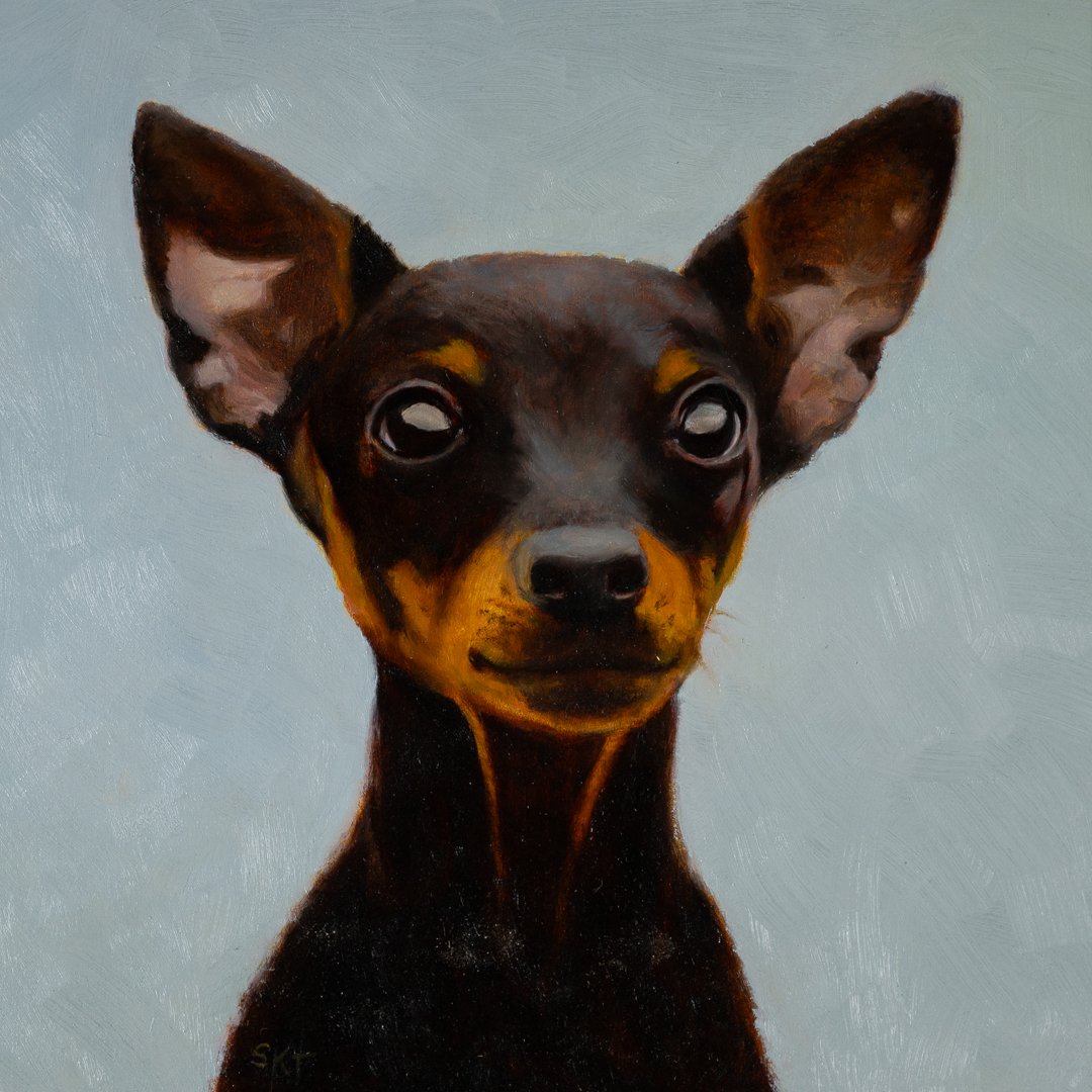 Minature Pinscher.jpg