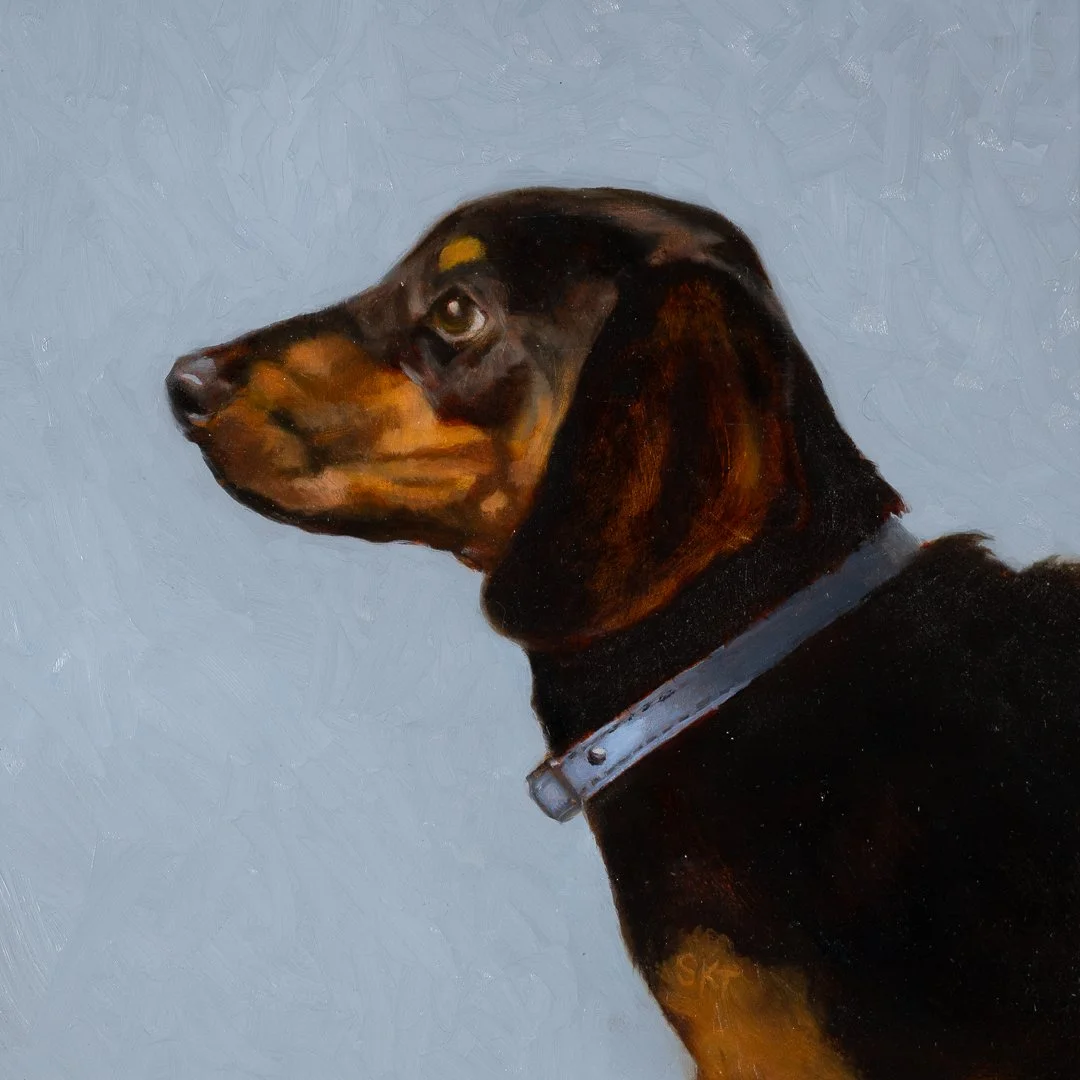 Dachshund Profile.jpg