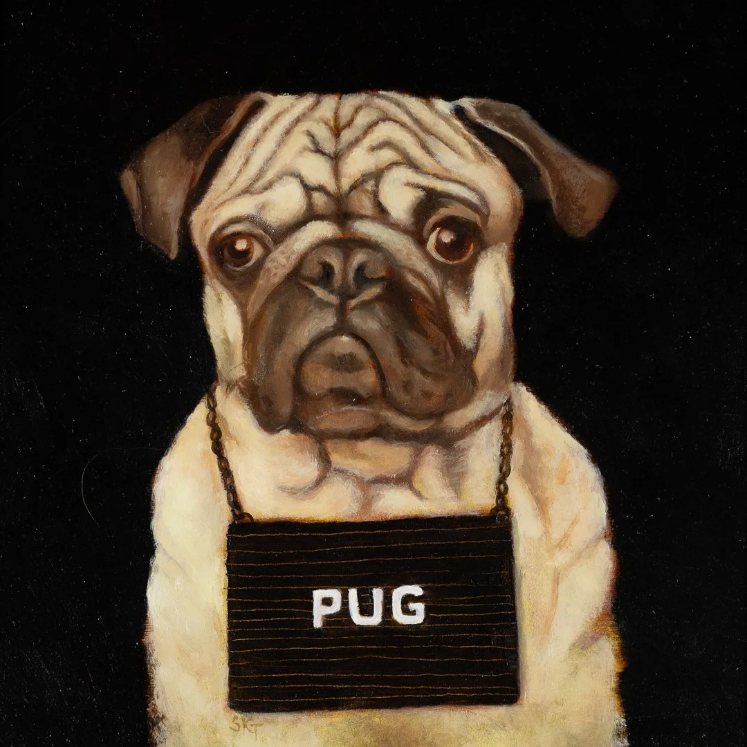 Pug.jpg