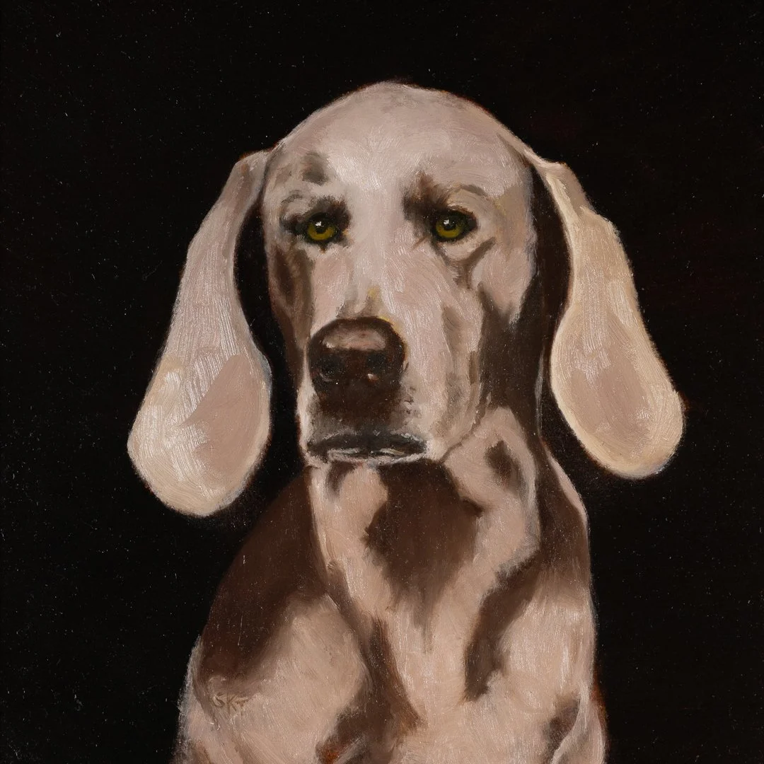 Weimaraner.jpg