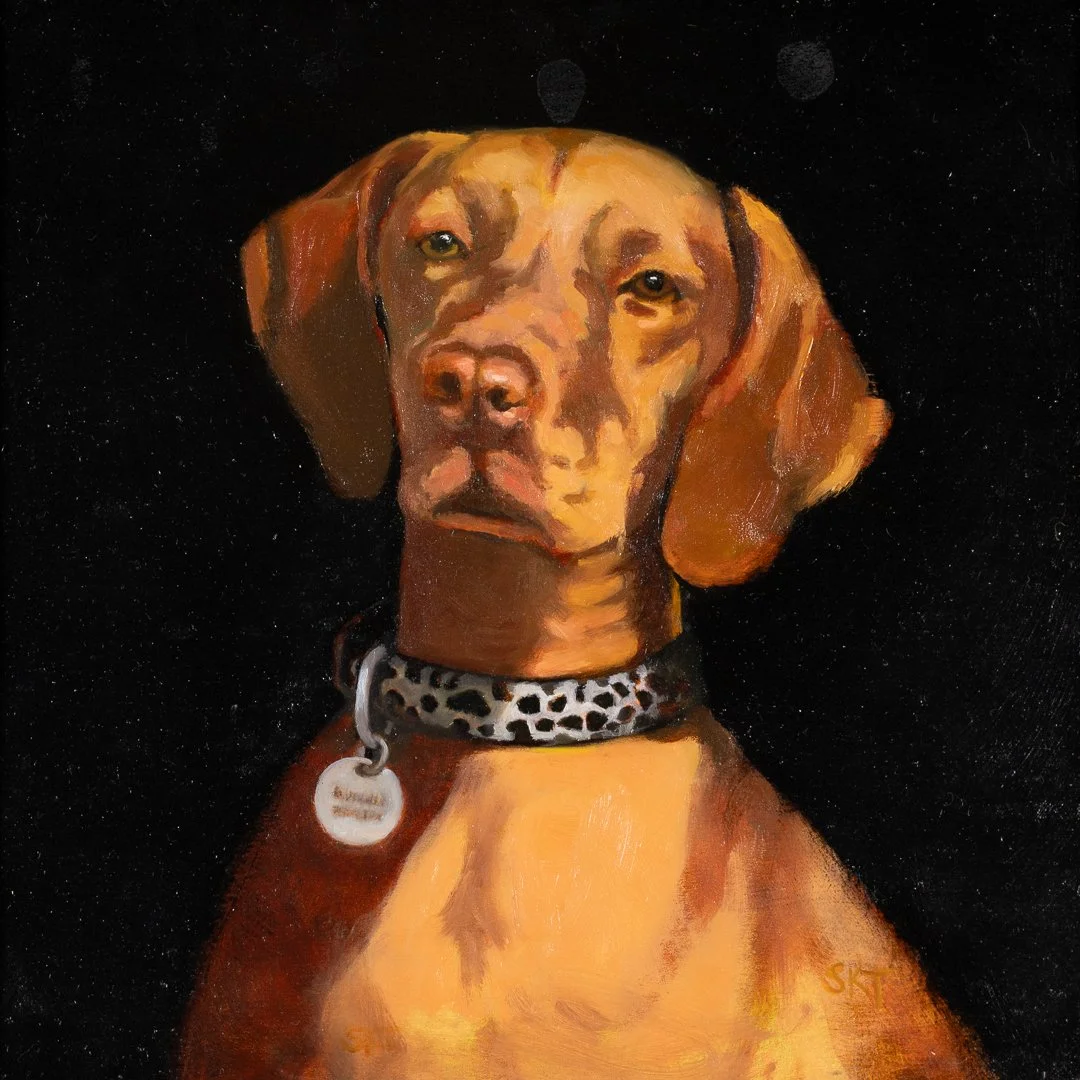 SOLD Vizsla.jpg