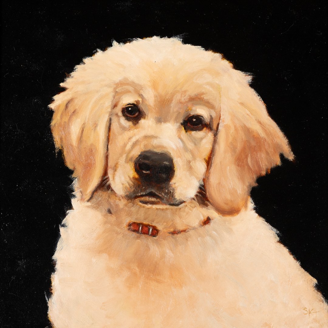 Golden Retriever Puppy.jpg