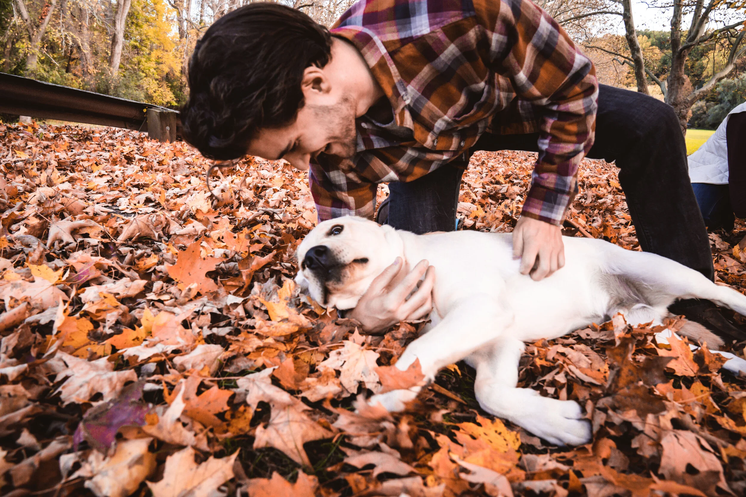 untitled (14 of 19).JPG