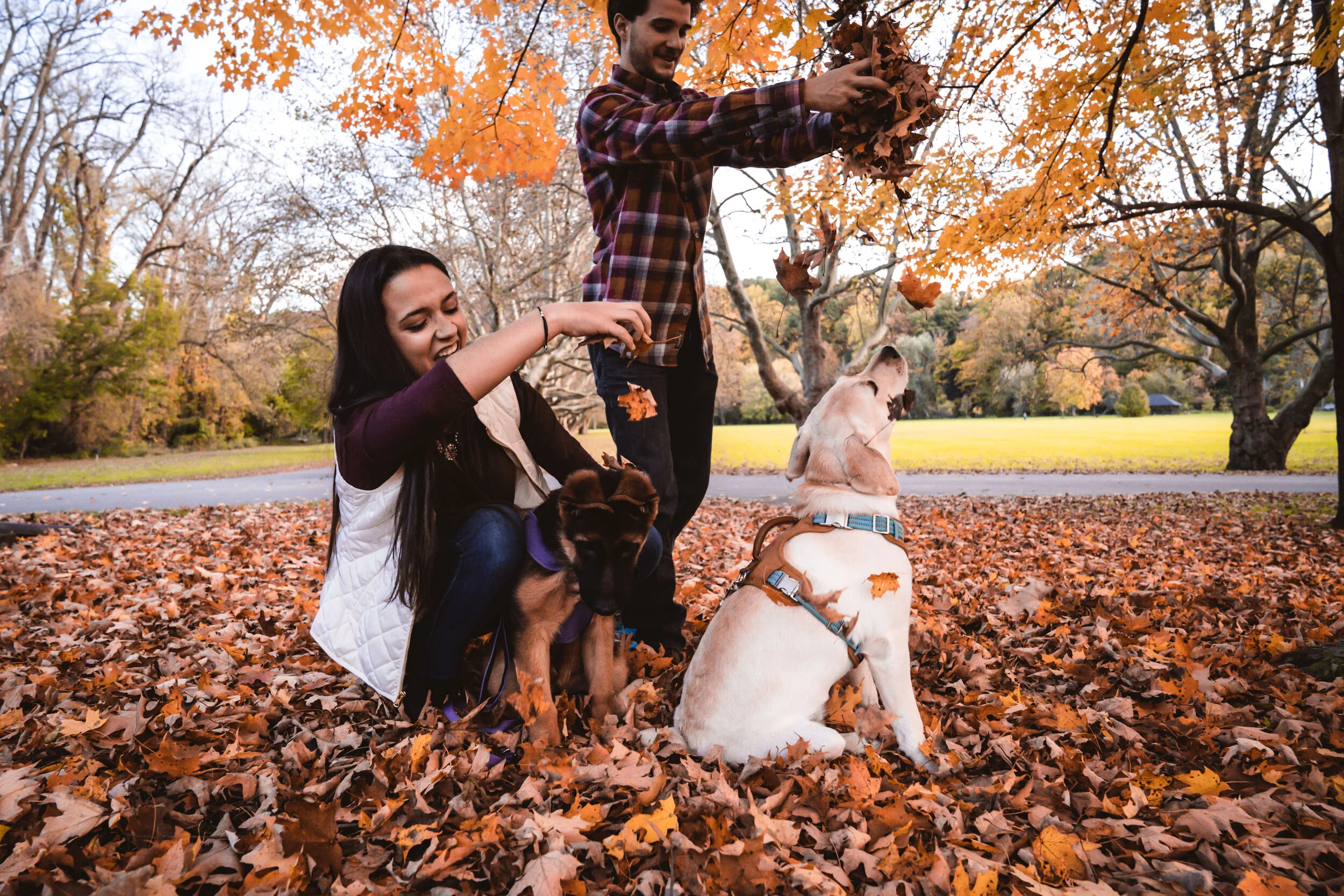 untitled (12 of 19).JPG