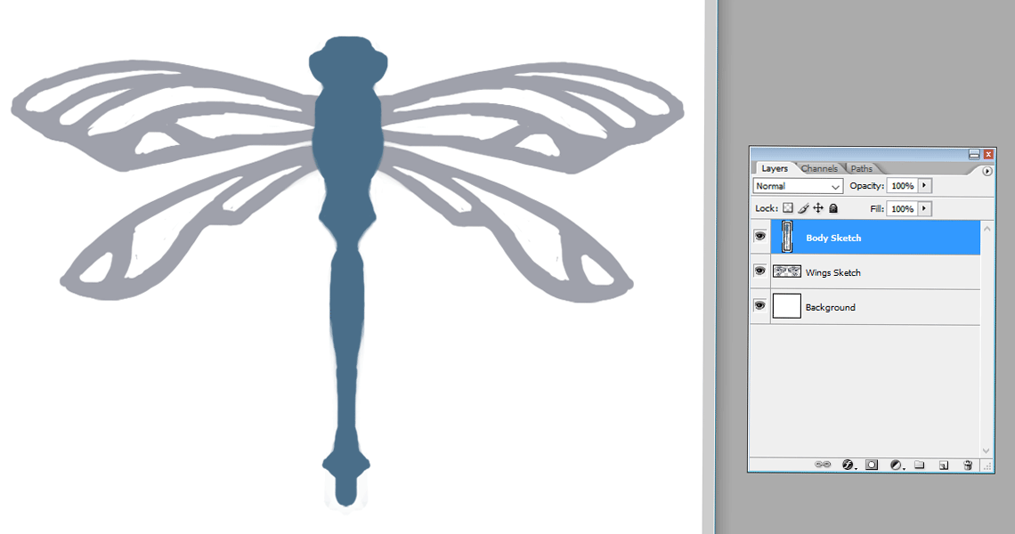 Creating a vector Dragonfly - Sketch | louisagallie.com