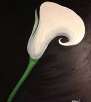 calla lily