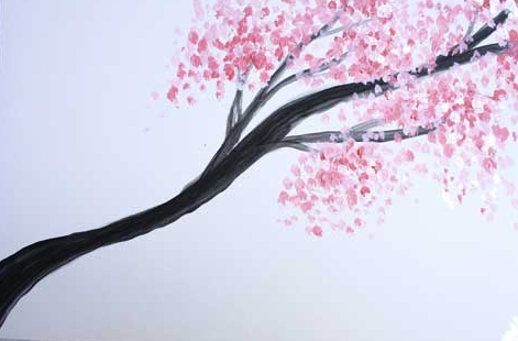 cherry blossoms