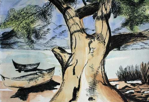 tree and boats
