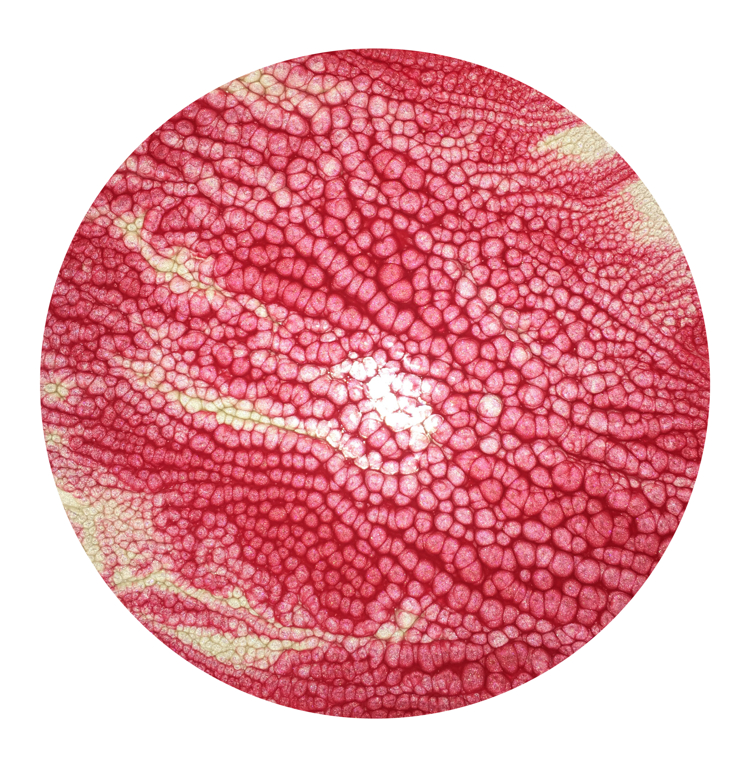 pinkcreamplanet.png