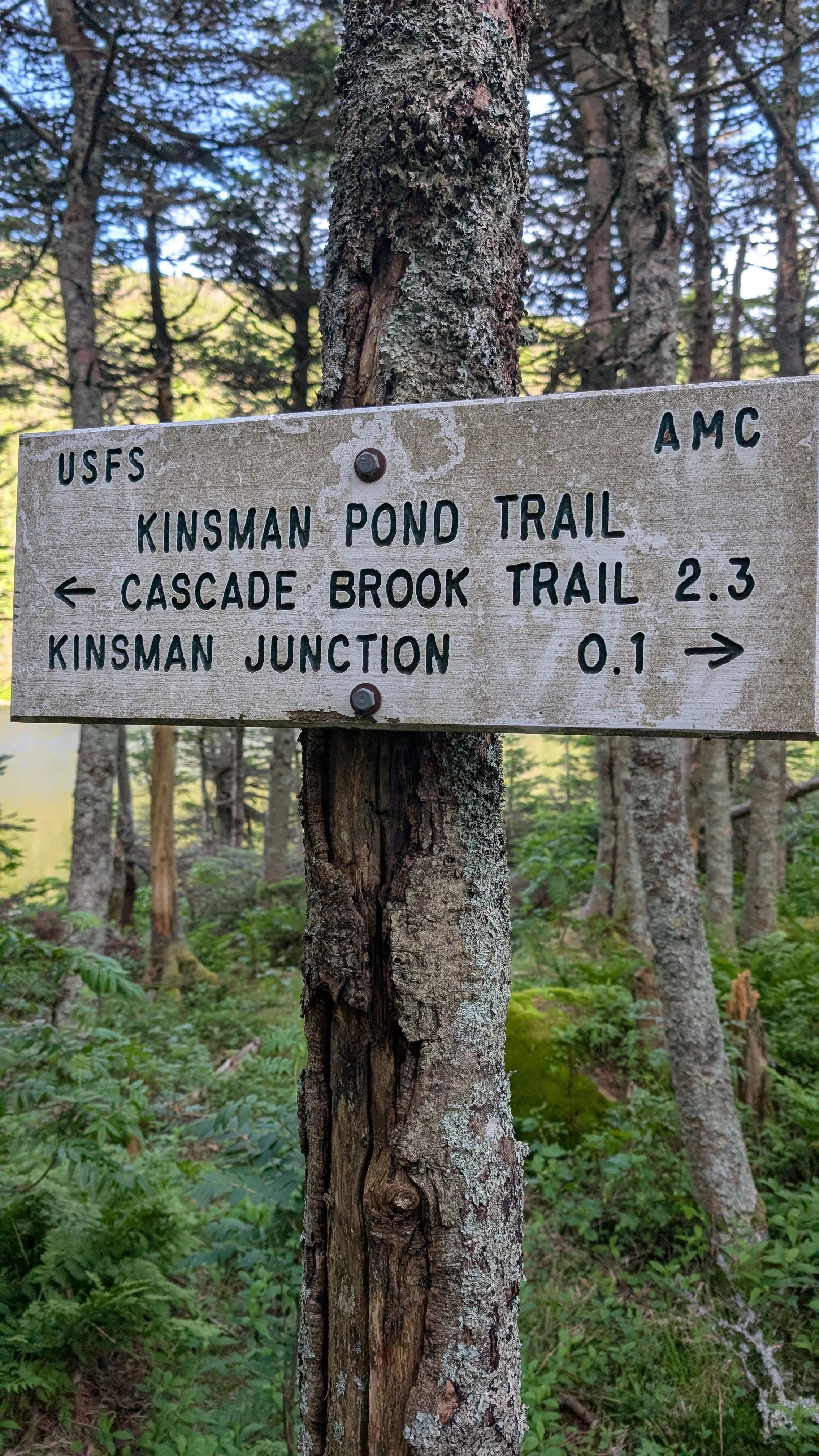 PXL_20260625_105857201.jpg