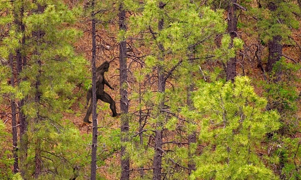 Photo: Dale O'Dell/Alamy