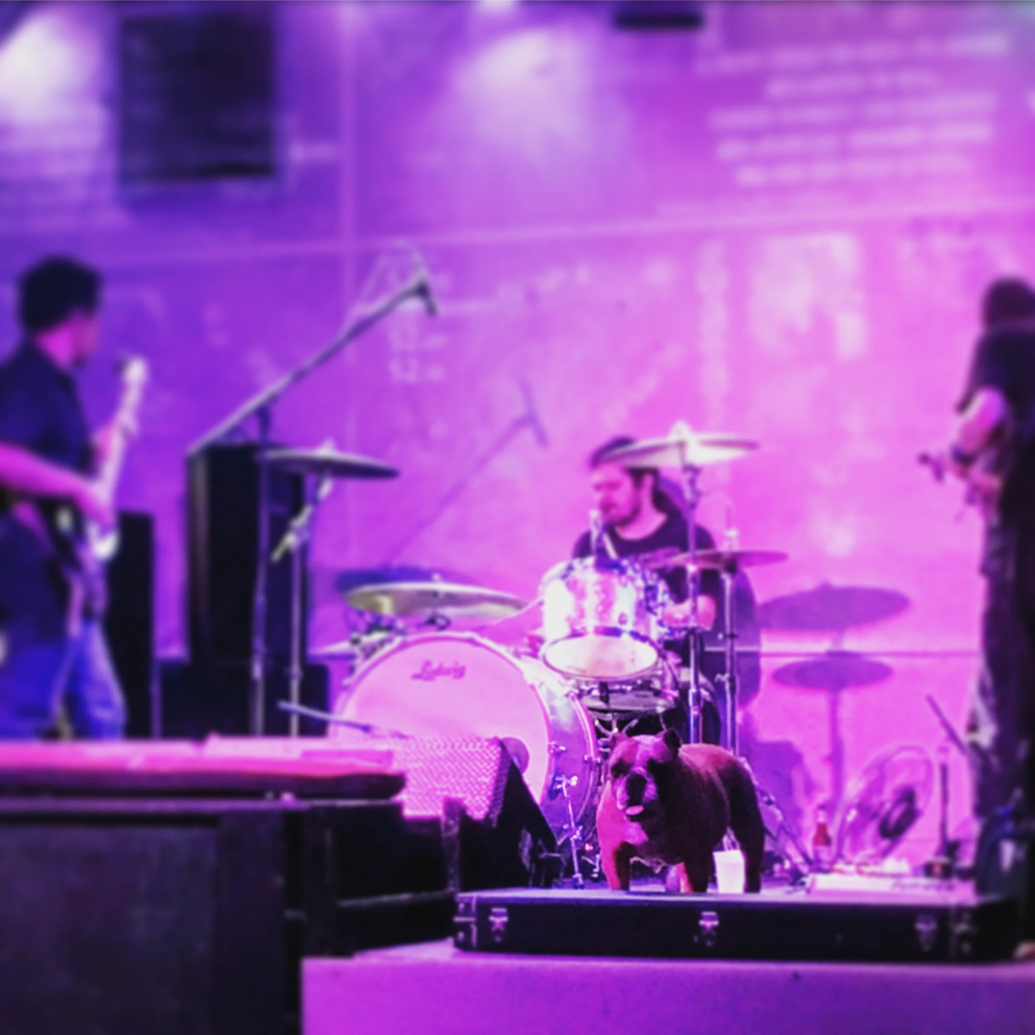Frontman Noser with owner Shawn on the drums 