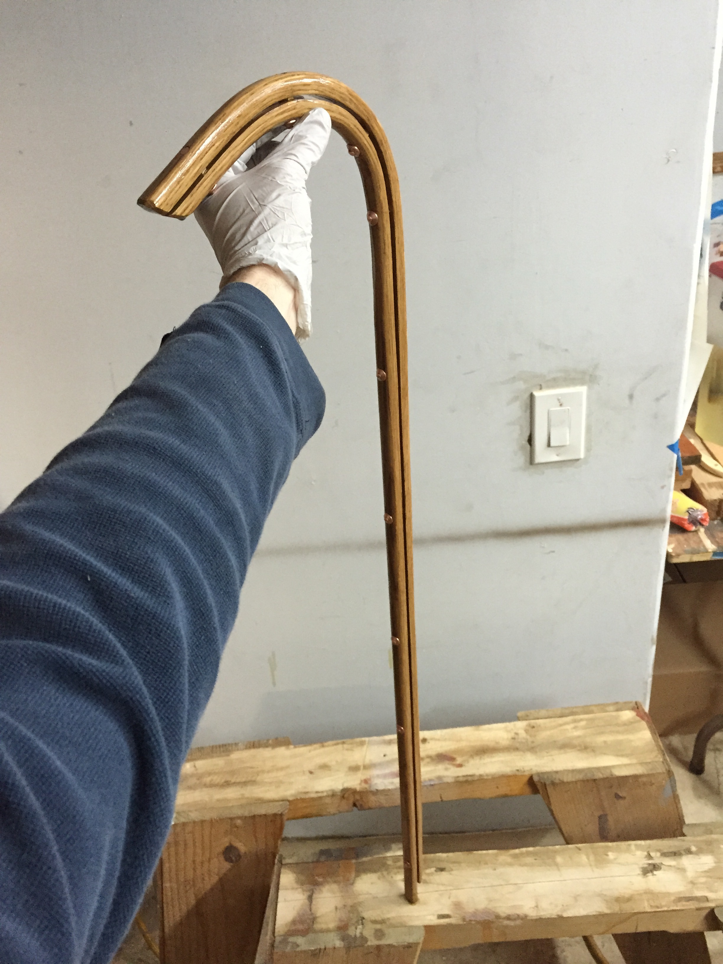 walking stick