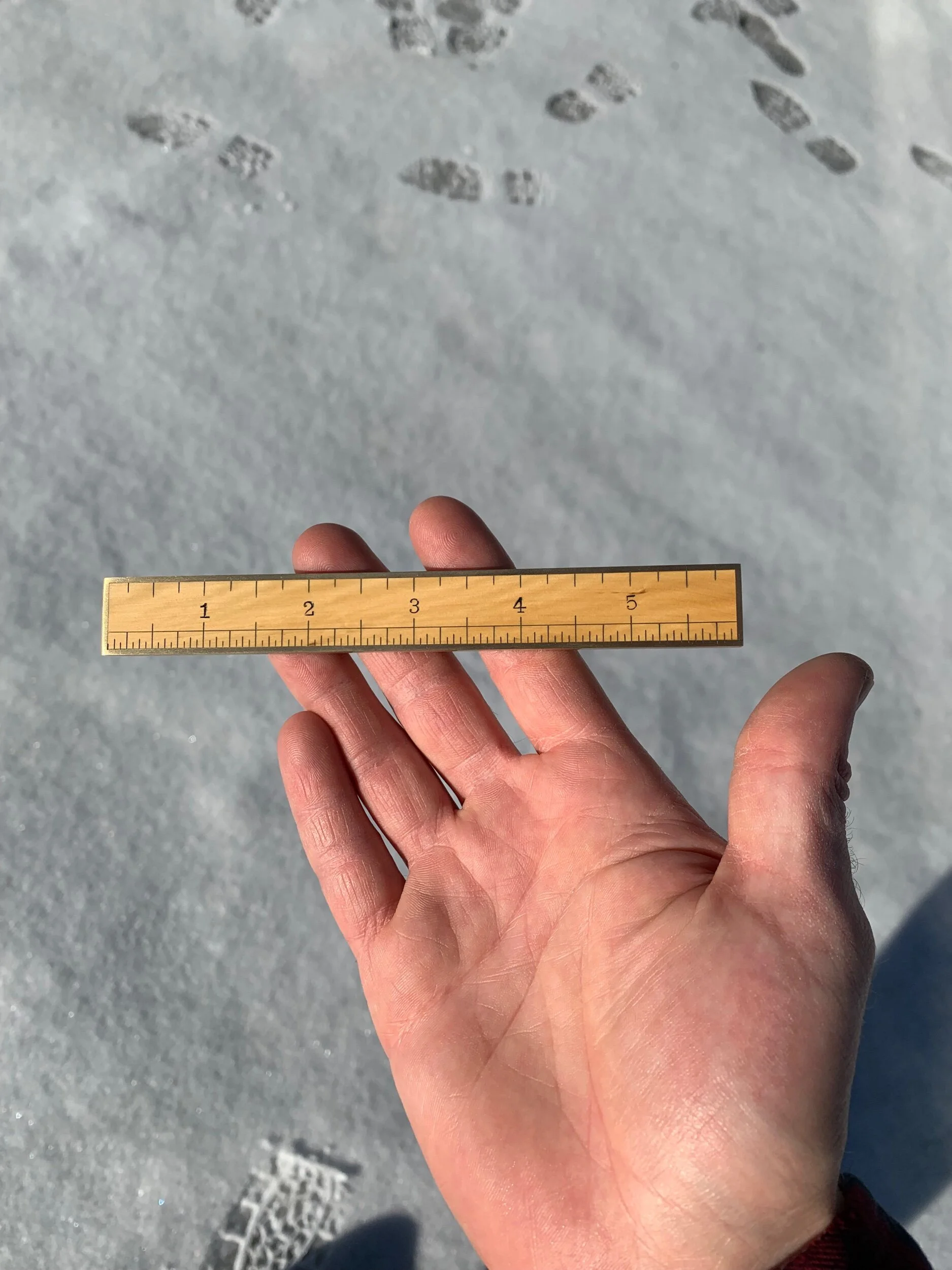 375F64C5-986D-4BD9-90C9-D92FE397F540