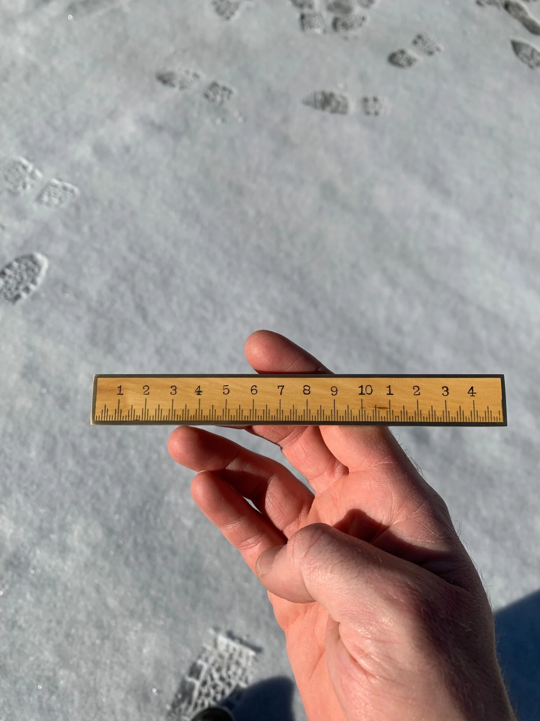 141F93C4-9742-4D19-AB07-8DD69831A069