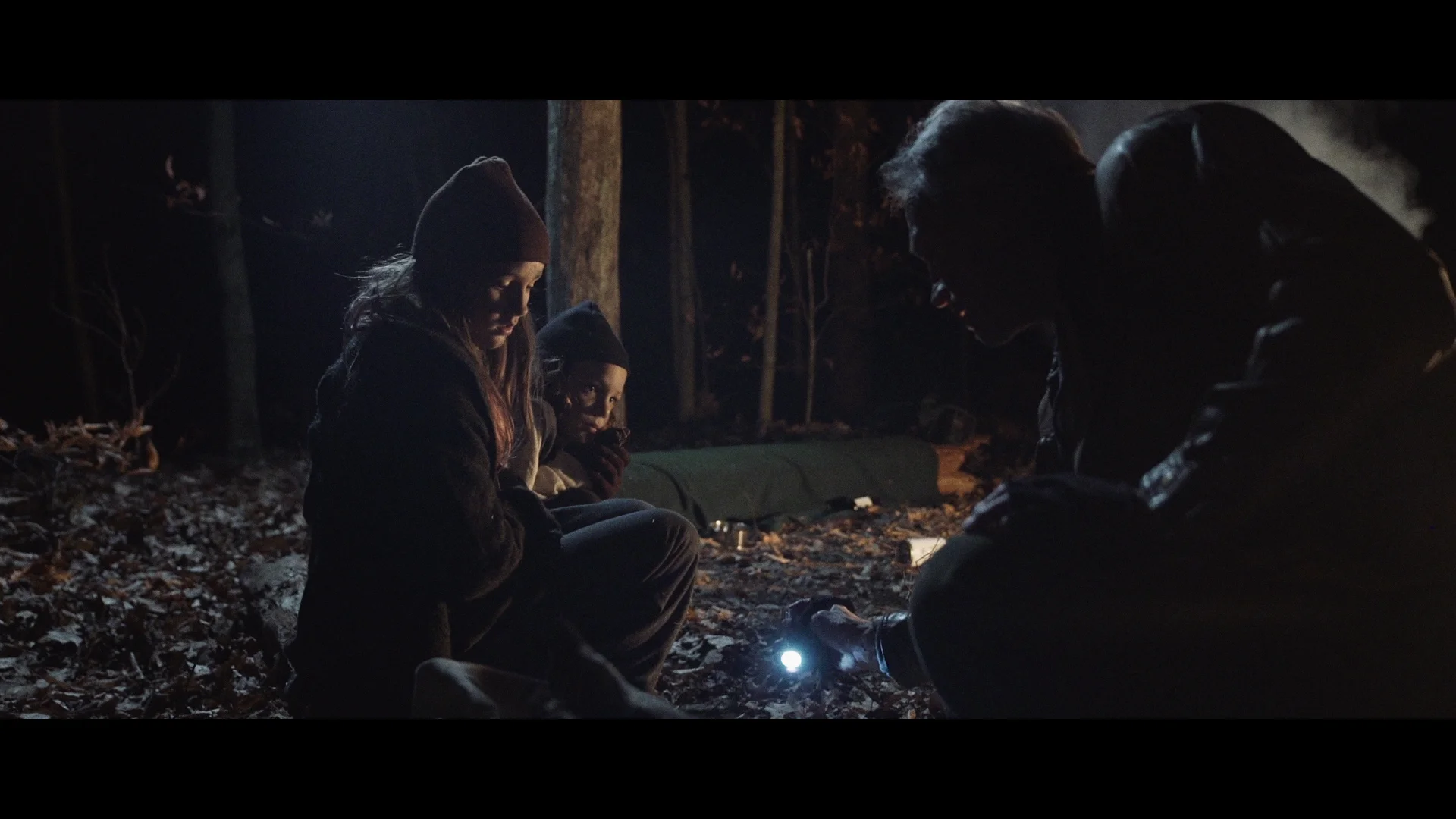 C0017.00_00_00_00.Still003 - Copy.jpg