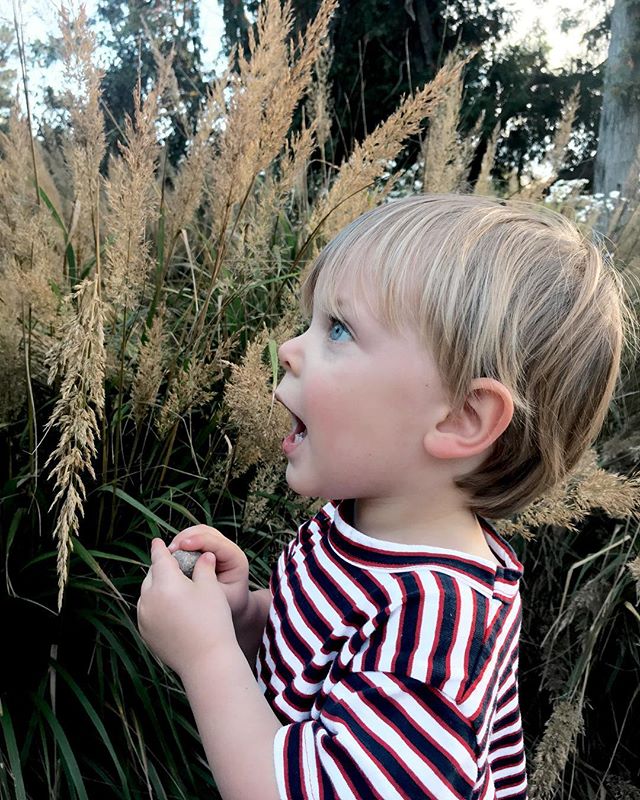 This is the face of a two year old experiencing inflatable Halloween decorations for the first time. #jawdroppingworthy #ourlastindianafall #friendofarq